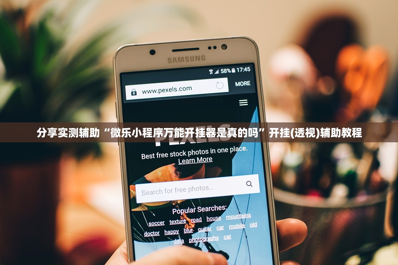 分享实测辅助“微乐小程序万能开挂器是真的吗”开挂(透视)辅助教程