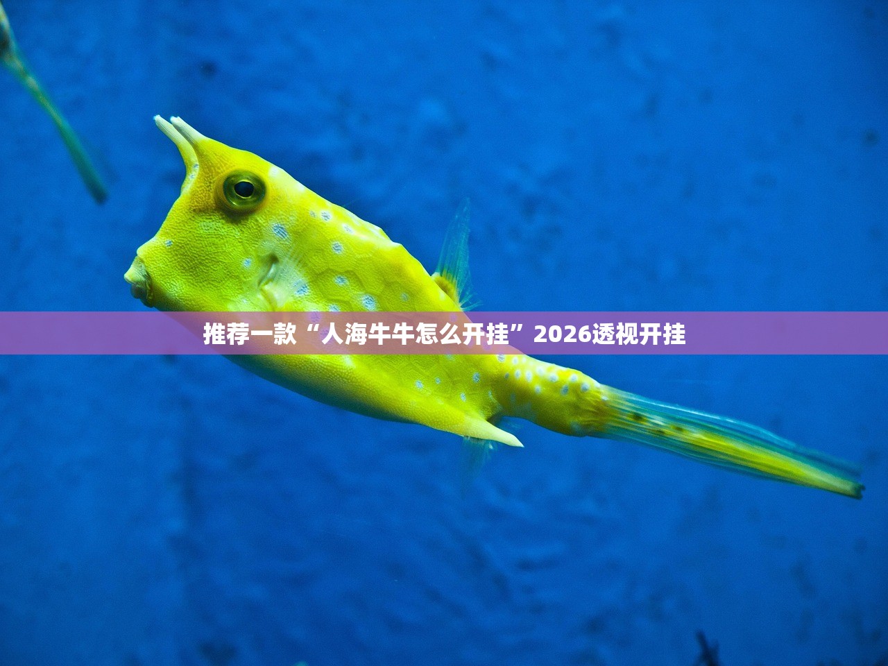 推荐一款“人海牛牛怎么开挂”2026透视开挂