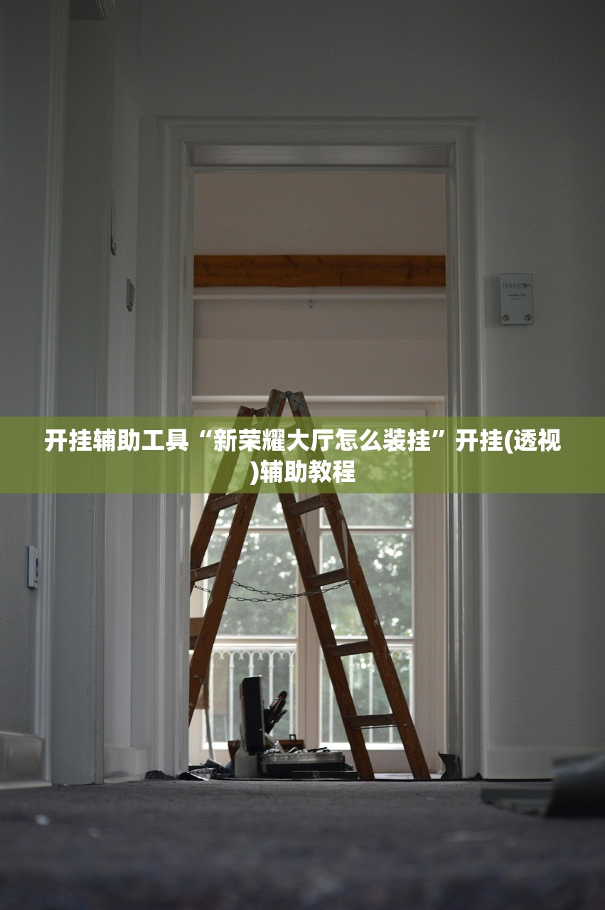 开挂辅助工具“新荣耀大厅怎么装挂”开挂(透视)辅助教程