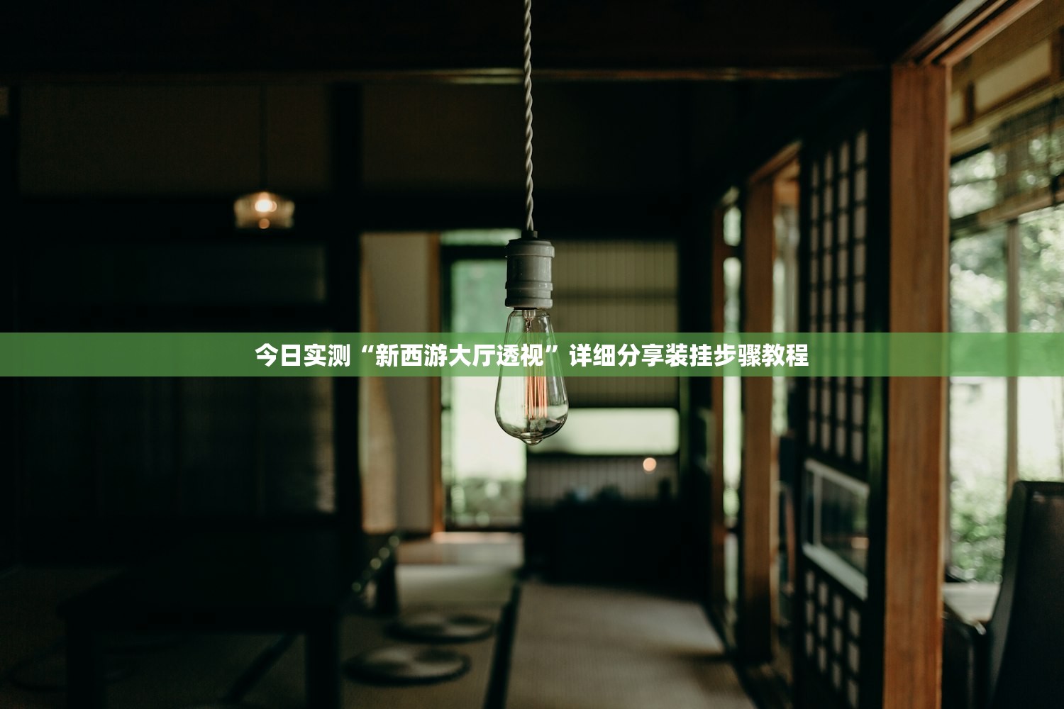 今日实测“新西游大厅透视	”详细分享装挂步骤教程