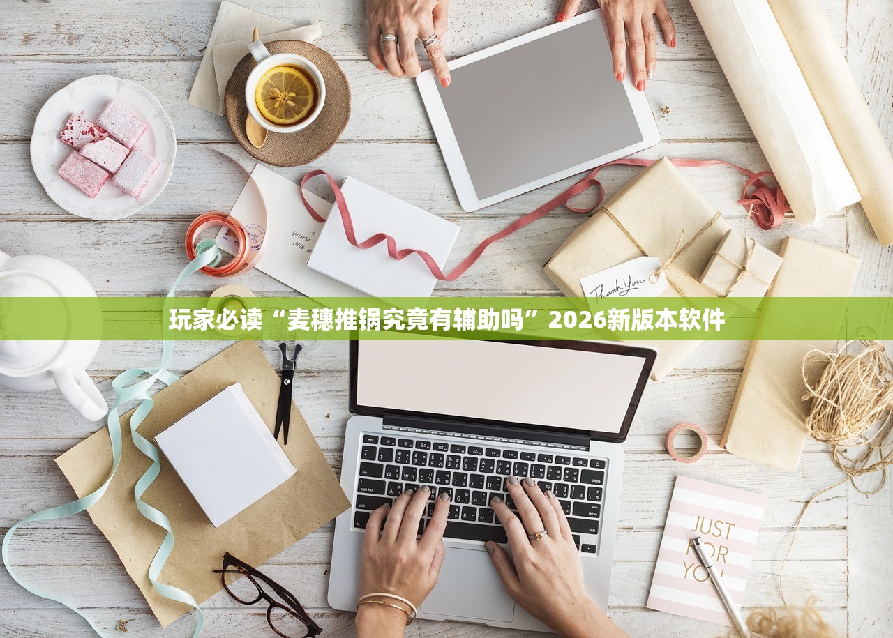玩家必读“麦穗推锅究竟有辅助吗”2026新版本软件