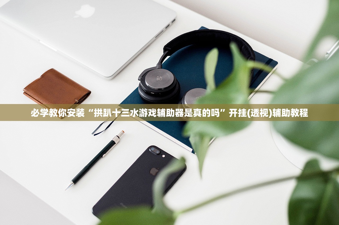 必学教你安装“拱趴十三水游戏辅助器是真的吗”开挂(透视)辅助教程