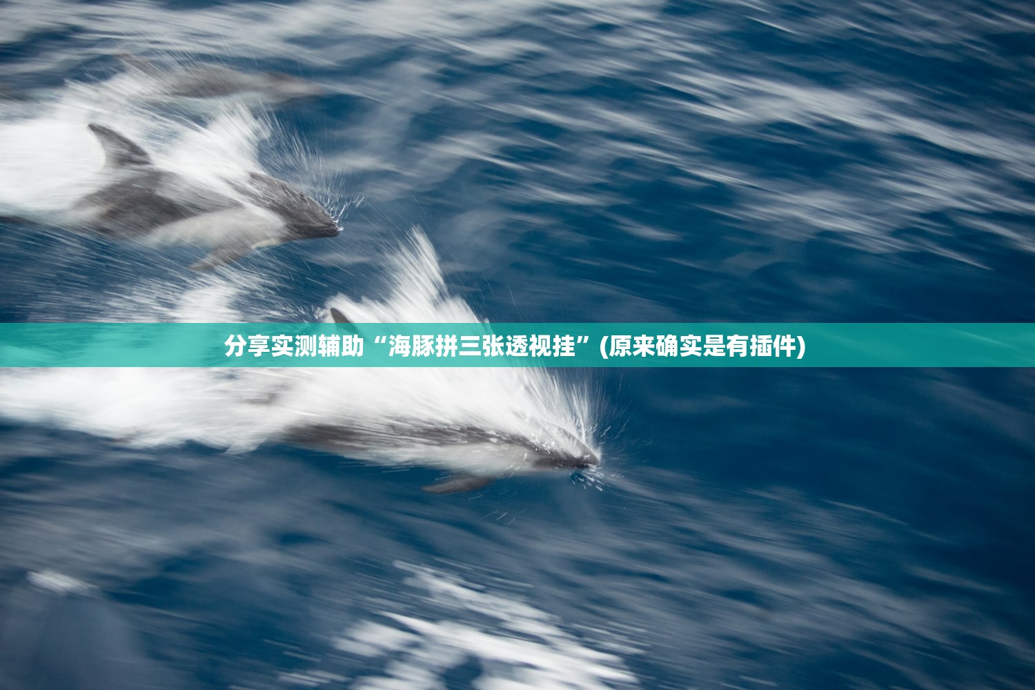 分享实测辅助“海豚拼三张透视挂”(原来确实是有插件) 