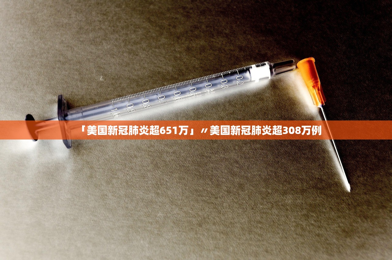 「美国新冠肺炎超651万」〃美国新冠肺炎超308万例