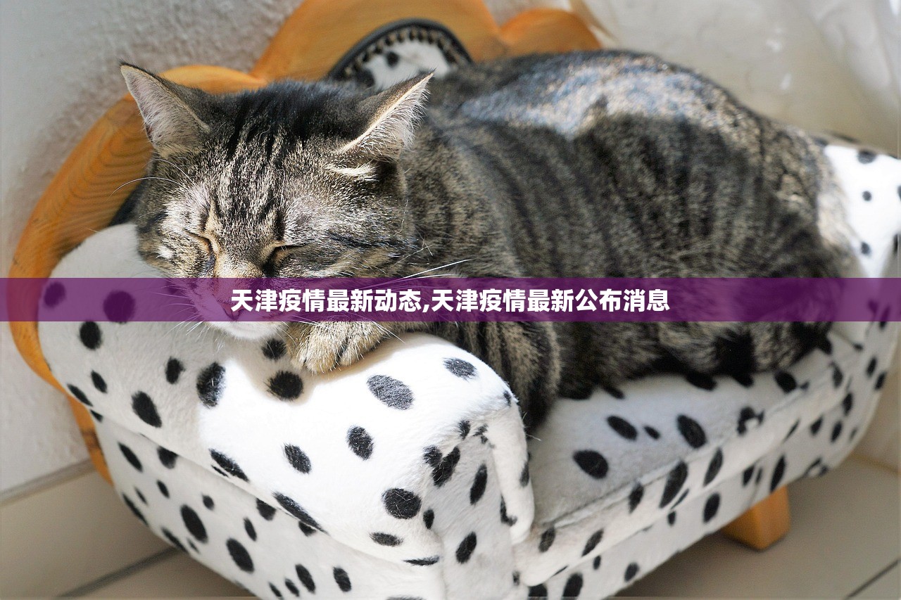 天津疫情最新动态,天津疫情最新公布消息