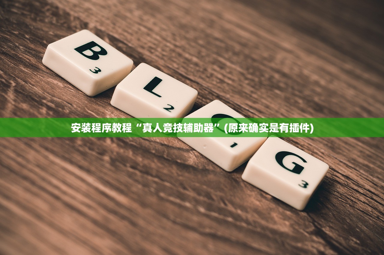 安装程序教程“真人竞技辅助器”(原来确实是有插件)