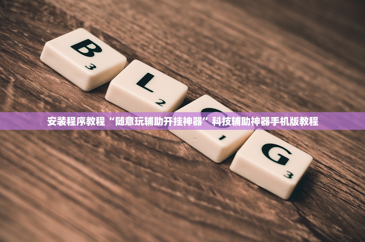 安装程序教程“随意玩辅助开挂神器”科技辅助神器手机版教程