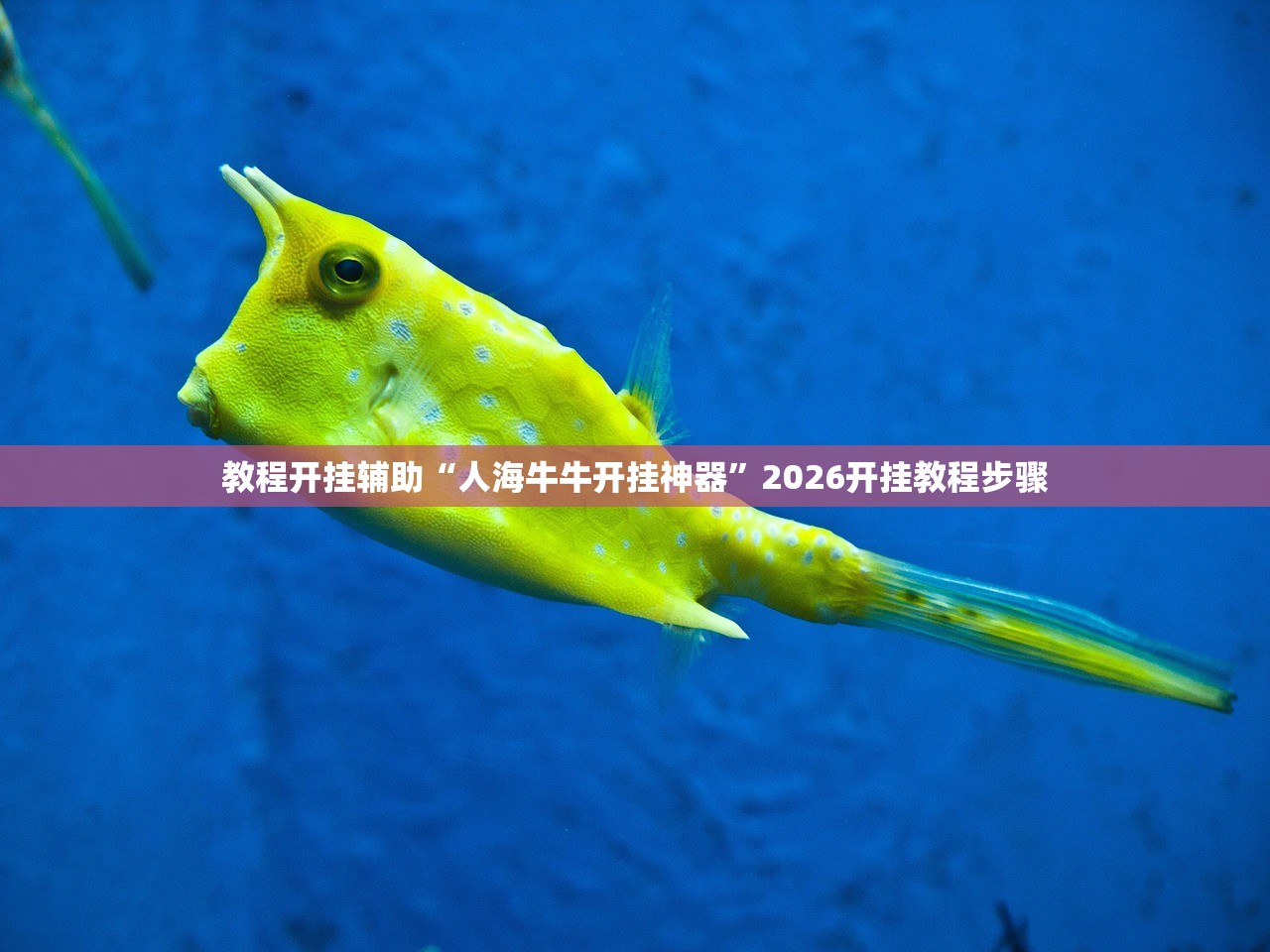 教程开挂辅助“人海牛牛开挂神器”2026开挂教程步骤