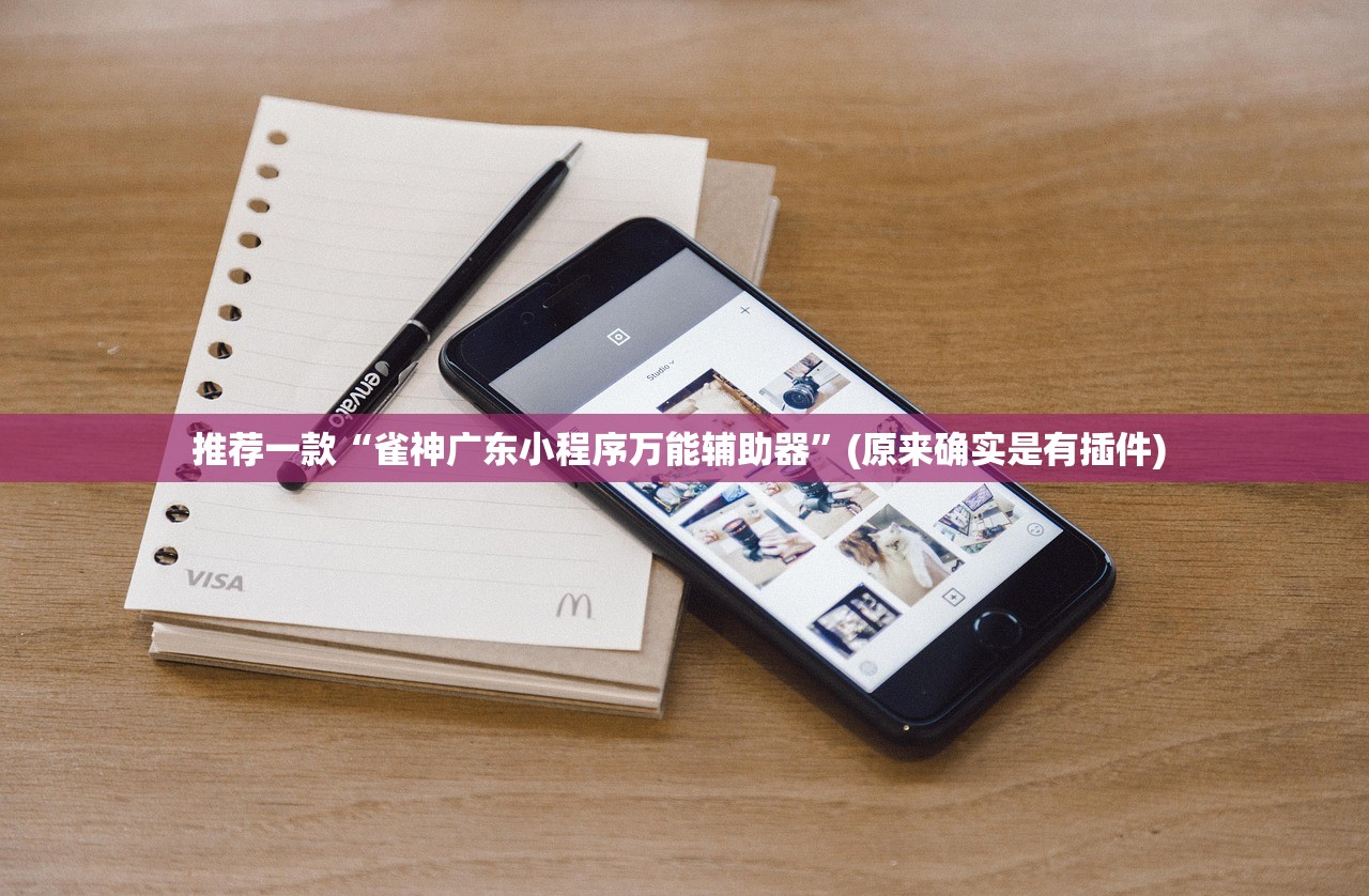 推荐一款“雀神广东小程序万能辅助器”(原来确实是有插件) 