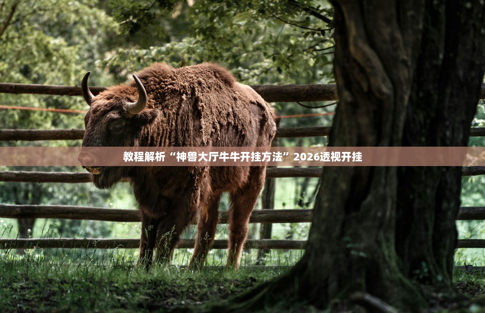 教程解析“神兽大厅牛牛开挂方法”2026透视开挂
