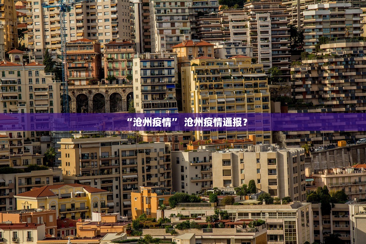 “沧州疫情	” 沧州疫情通报？