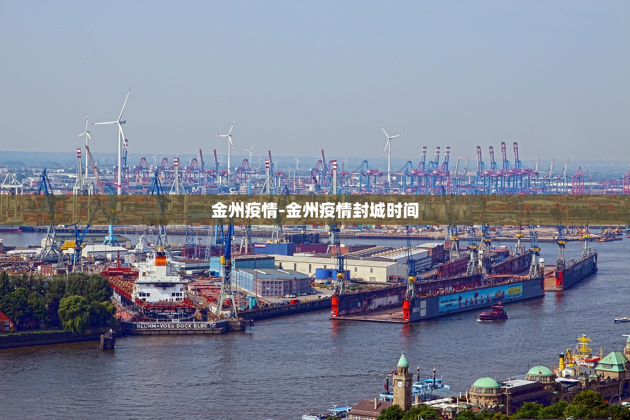 金州疫情-金州疫情封城时间