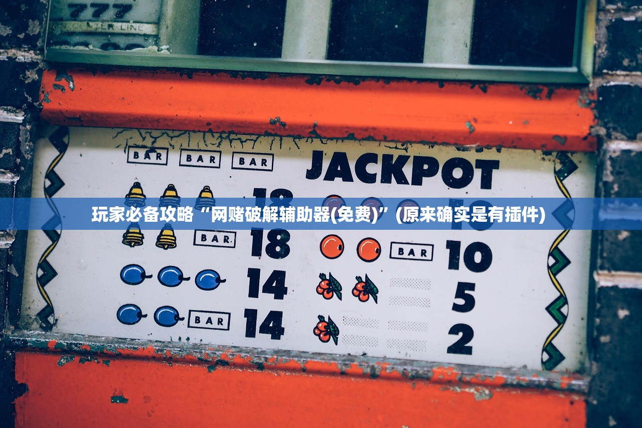 玩家必备攻略“网赌破解辅助器(免费)”(原来确实是有插件) 