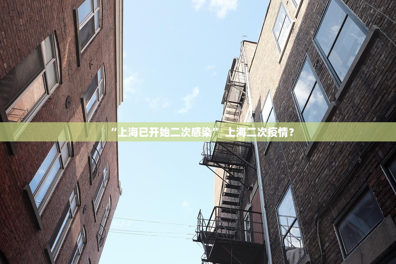 “上海已开始二次感染” 上海二次疫情？