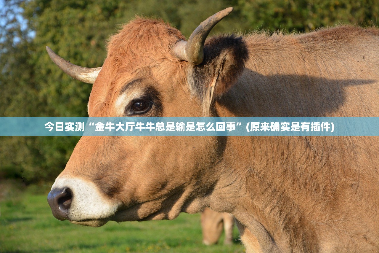 今日实测“金牛大厅牛牛总是输是怎么回事	”(原来确实是有插件)