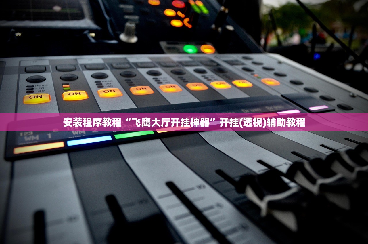 安装程序教程“飞鹰大厅开挂神器”开挂(透视)辅助教程