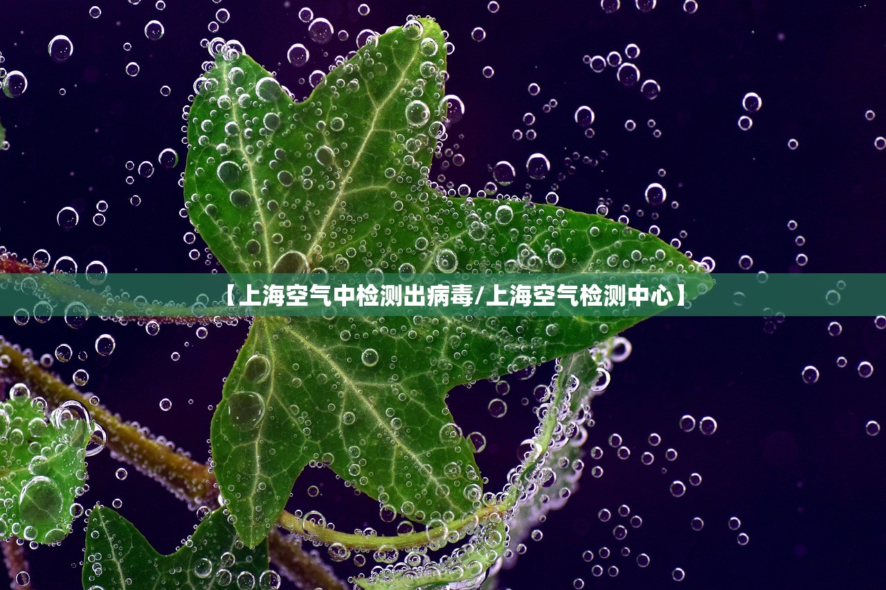 【上海空气中检测出病毒/上海空气检测中心】 【上海空气中检测出病毒/上海空气检测中心】