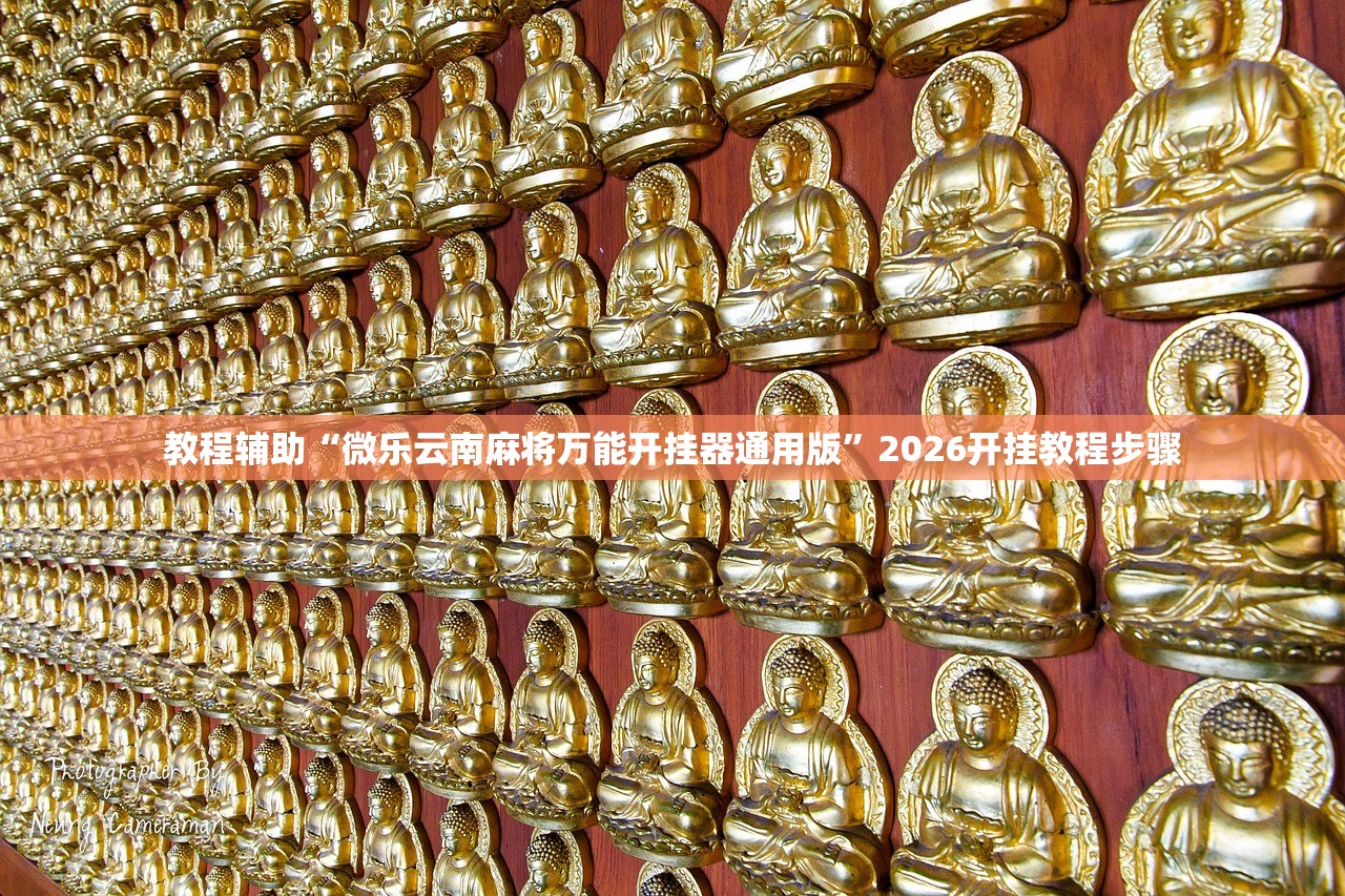 教程辅助“微乐云南麻将万能开挂器通用版”2026开挂教程步骤