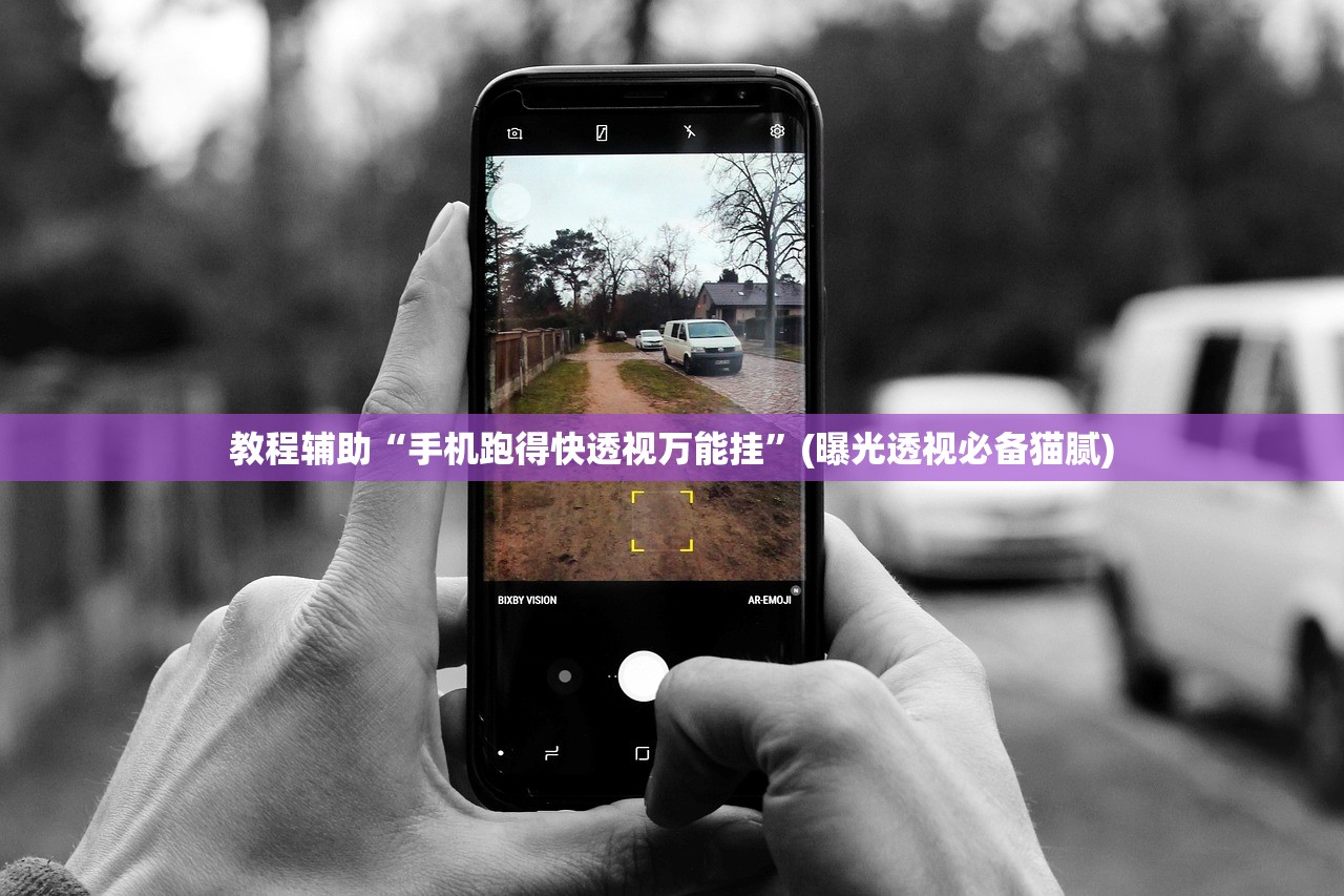 教程辅助“手机跑得快透视万能挂”(曝光透视必备猫腻)