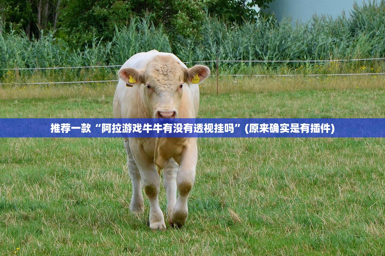 推荐一款“阿拉游戏牛牛有没有透视挂吗”(原来确实是有插件)