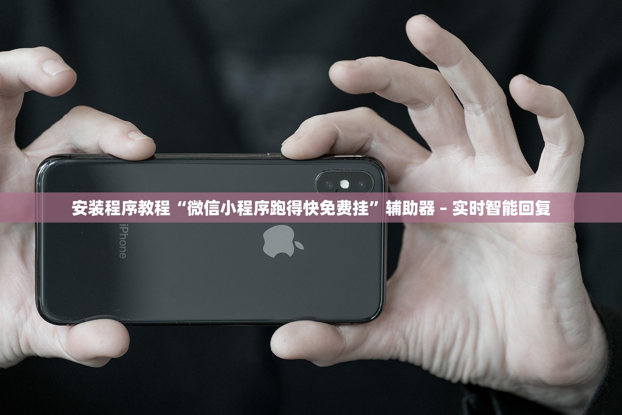 安装程序教程“微信小程序跑得快免费挂”辅助器 – 实时智能回复