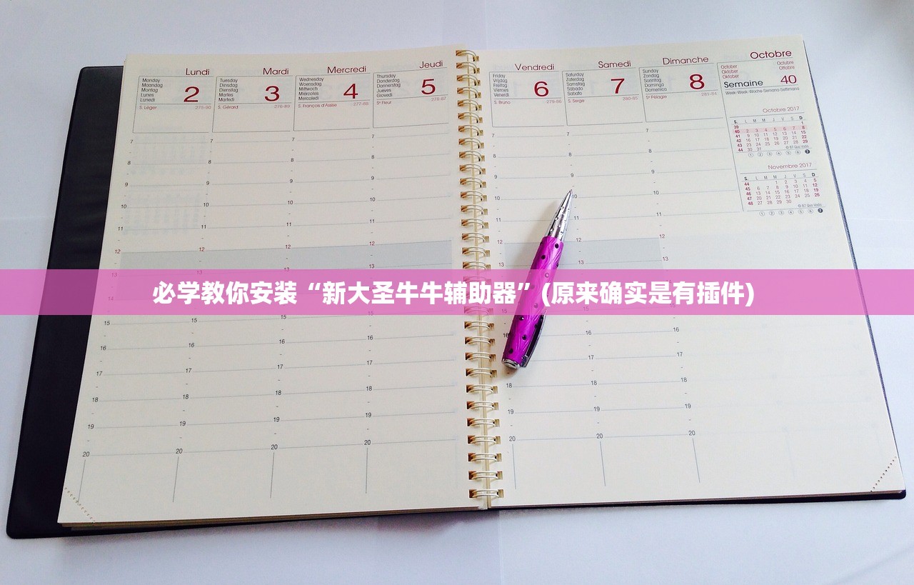必学教你安装“新大圣牛牛辅助器	”(原来确实是有插件) 