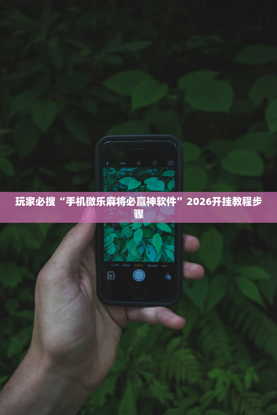 玩家必搜“手机微乐麻将必赢神软件	”2026开挂教程步骤