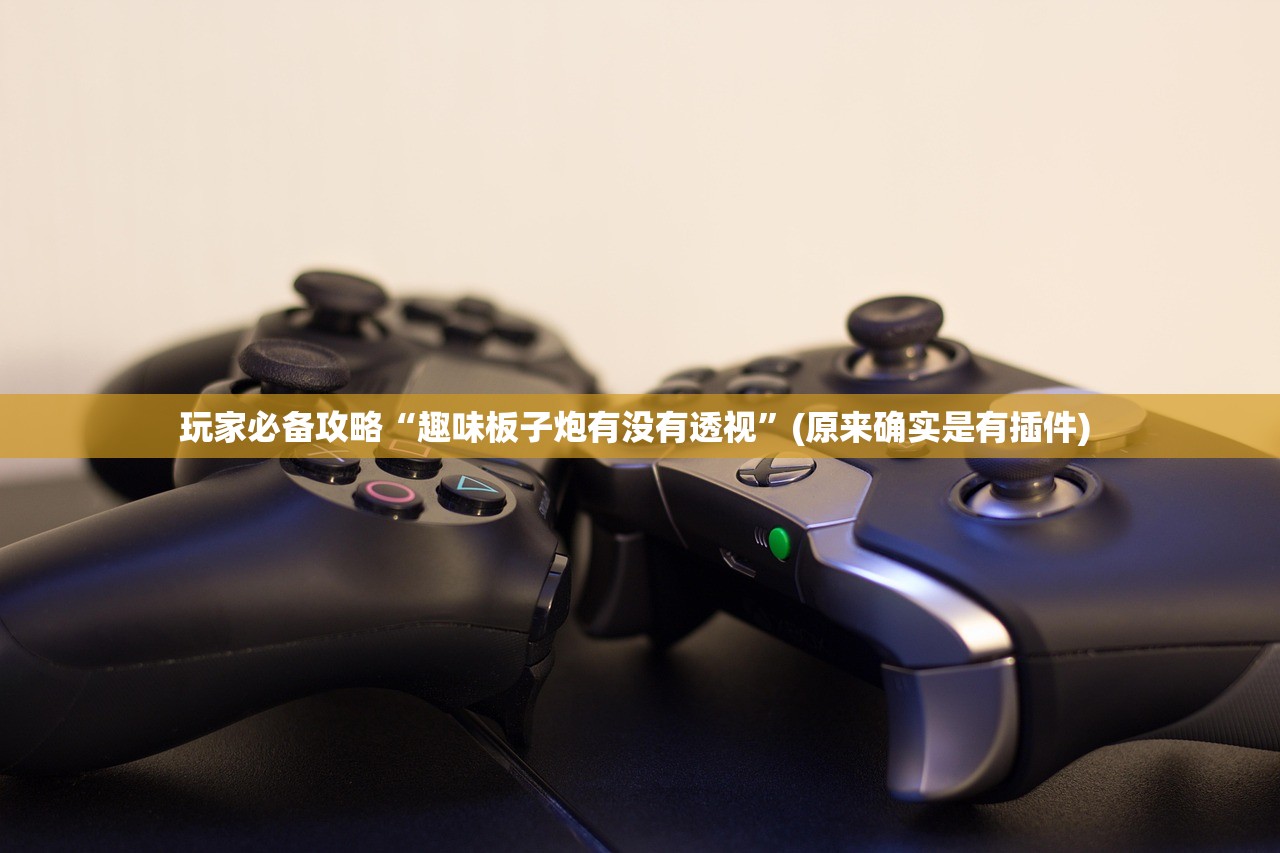 玩家必备攻略“趣味板子炮有没有透视	”(原来确实是有插件) 