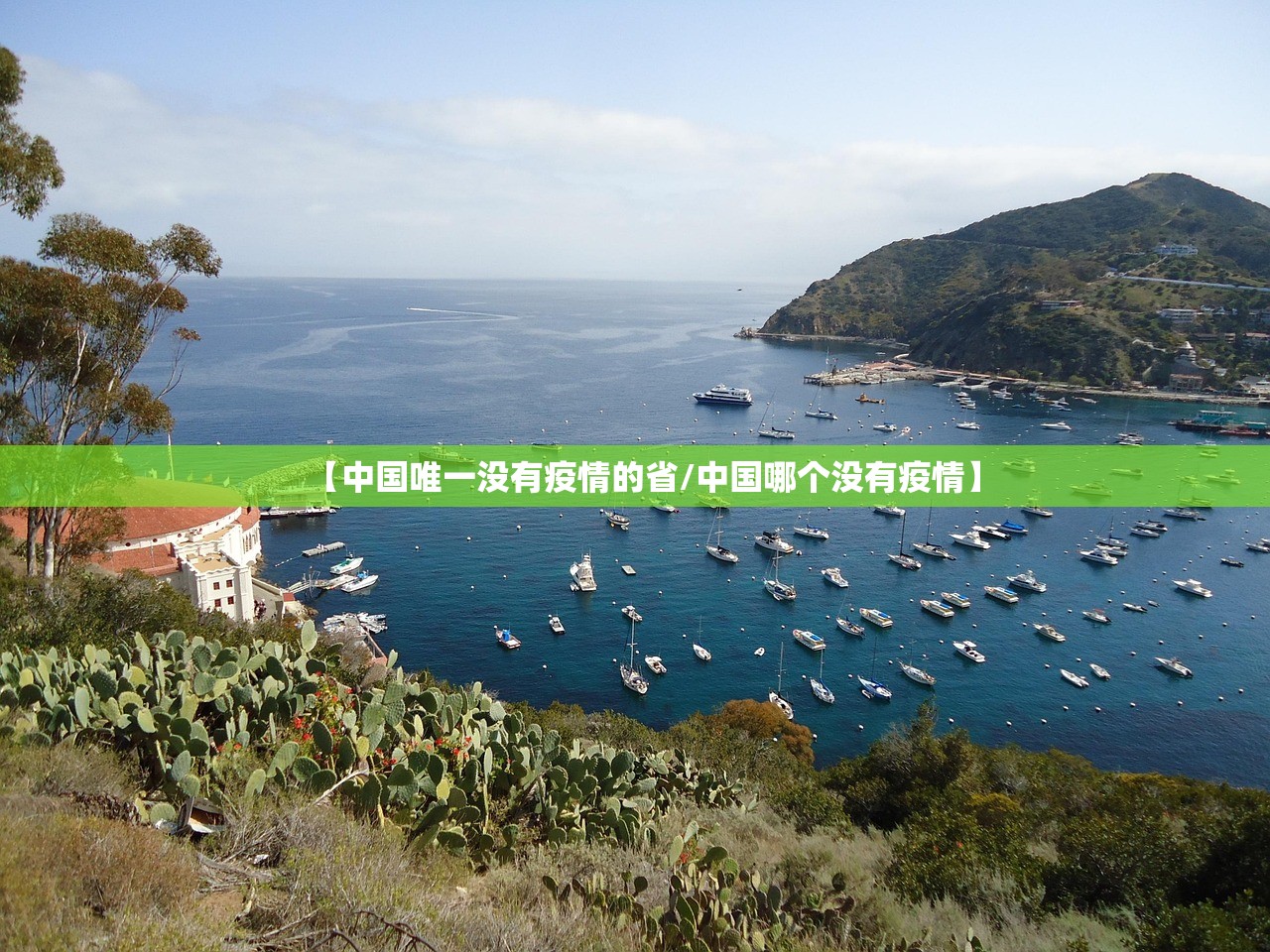 【中国唯一没有疫情的省/中国哪个没有疫情】