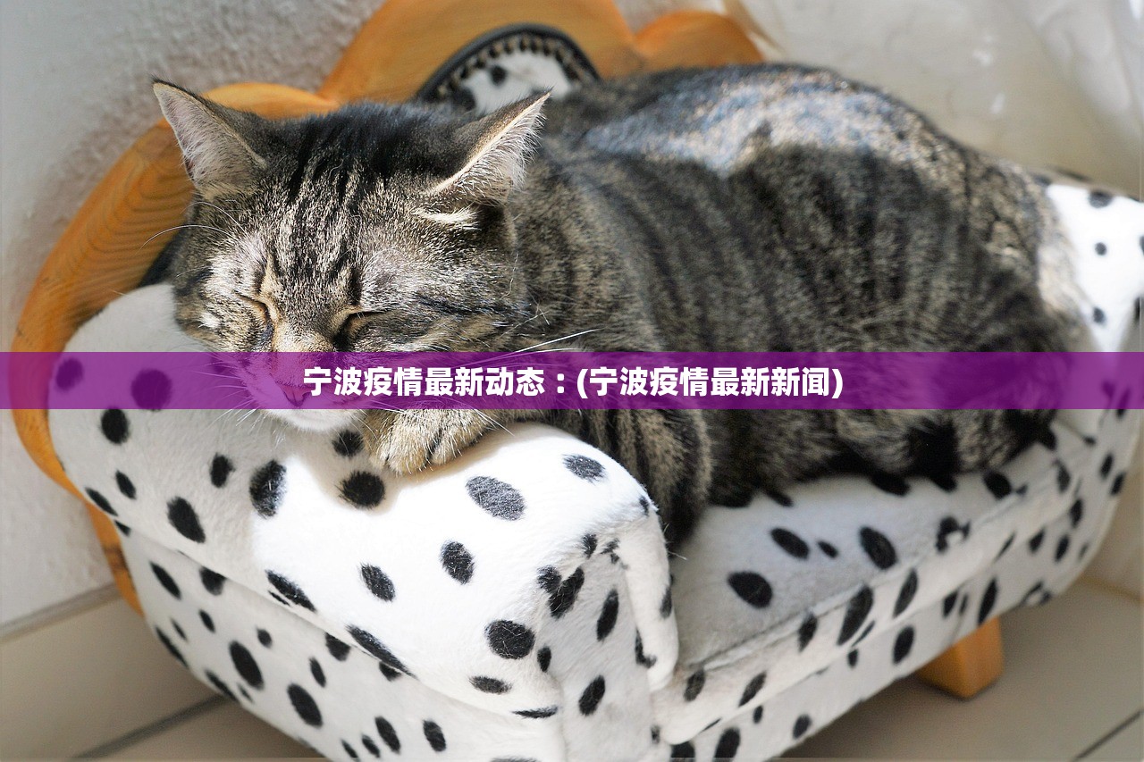 宁波疫情最新动态︰(宁波疫情最新新闻) 宁波疫情最新动态︰(宁波疫情最新新闻)