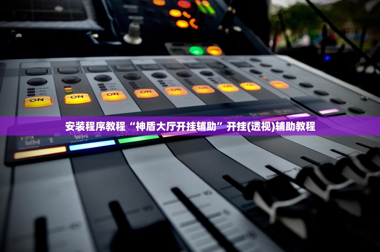 安装程序教程“神盾大厅开挂辅助”开挂(透视)辅助教程