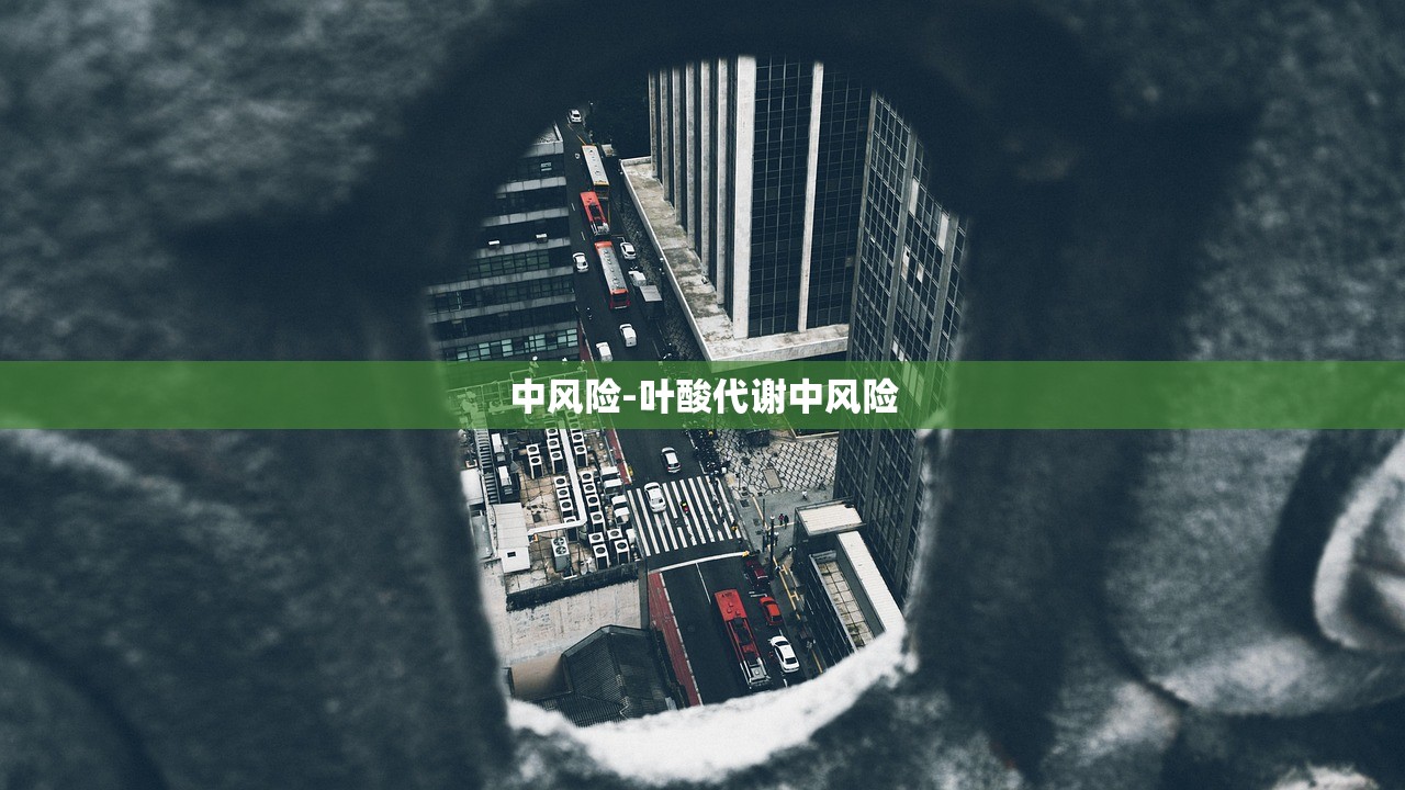 中风险-叶酸代谢中风险