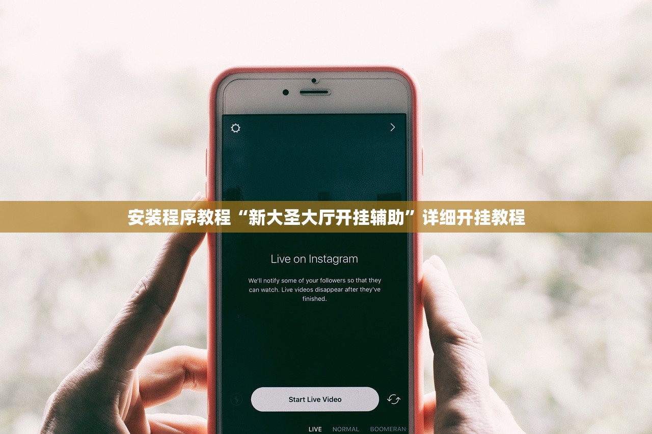 安装程序教程“新大圣大厅开挂辅助”详细开挂教程