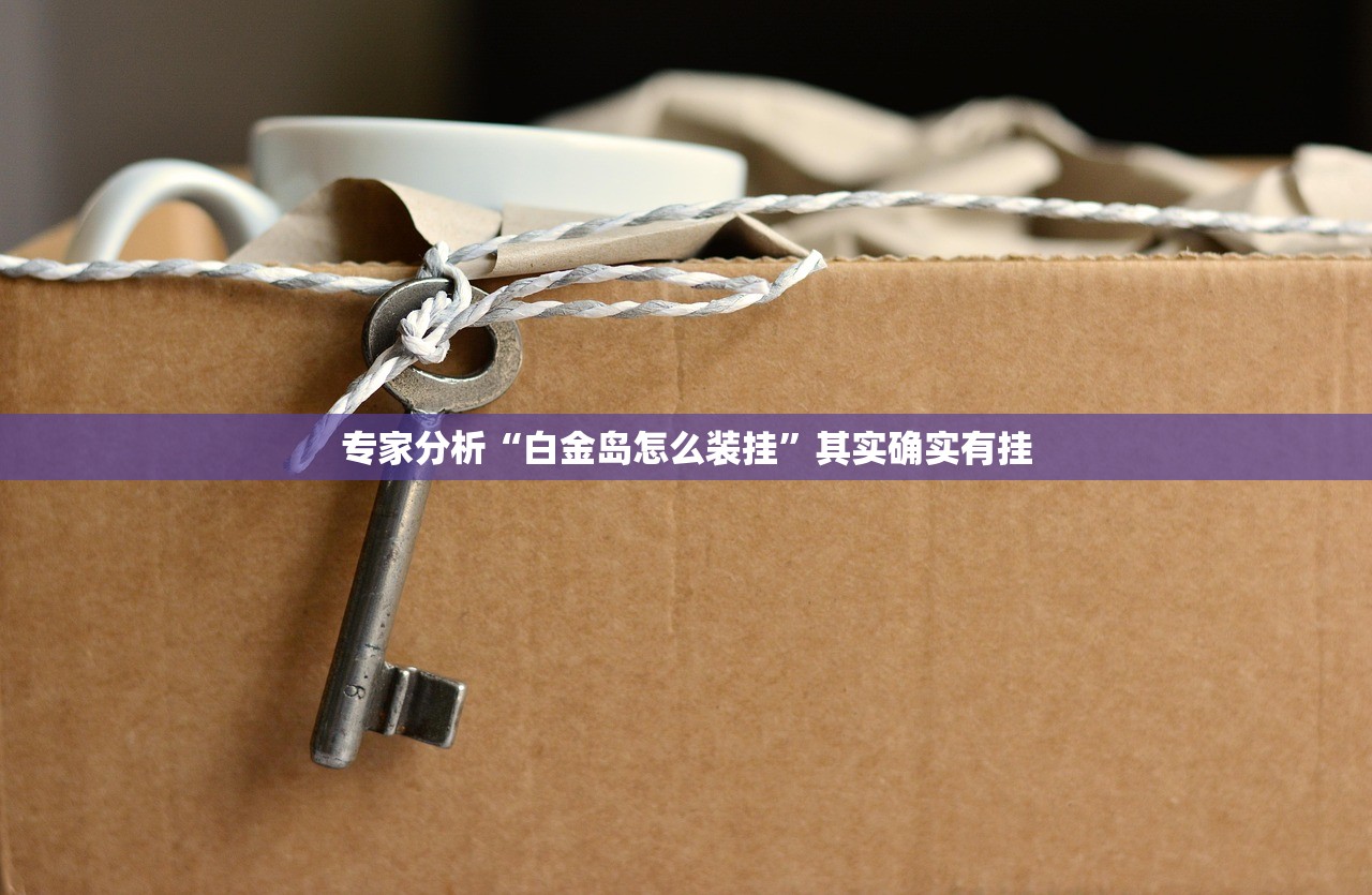 专家分析“白金岛怎么装挂”其实确实有挂