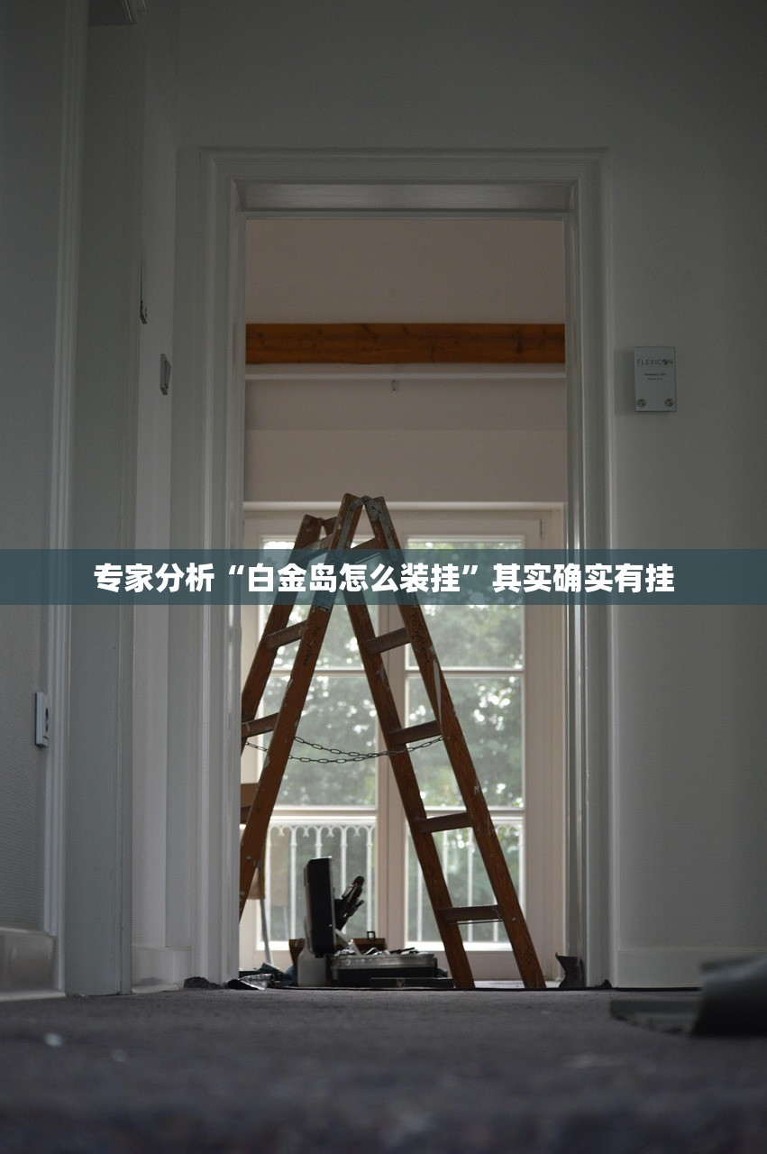 专家分析“白金岛怎么装挂”其实确实有挂