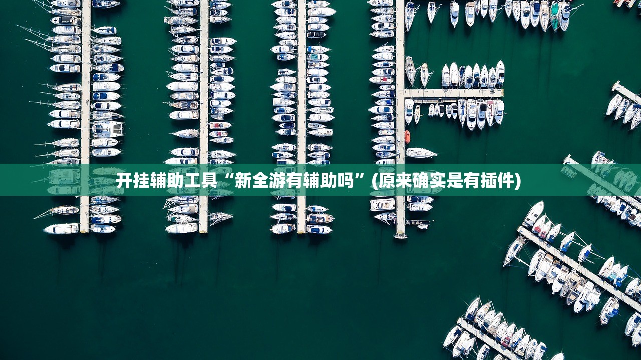 开挂辅助工具“新全游有辅助吗”(原来确实是有插件) 