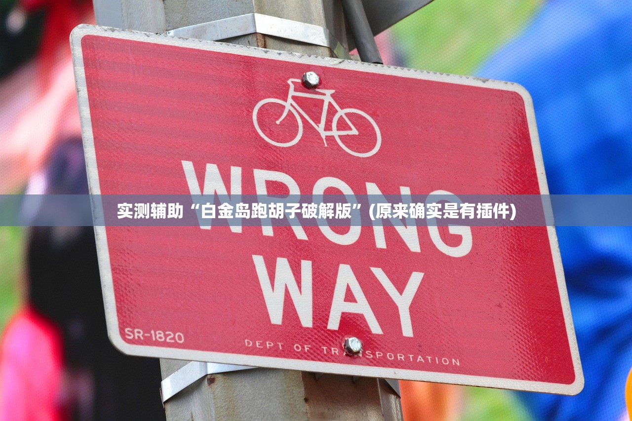 实测辅助“白金岛跑胡子破解版	”(原来确实是有插件)