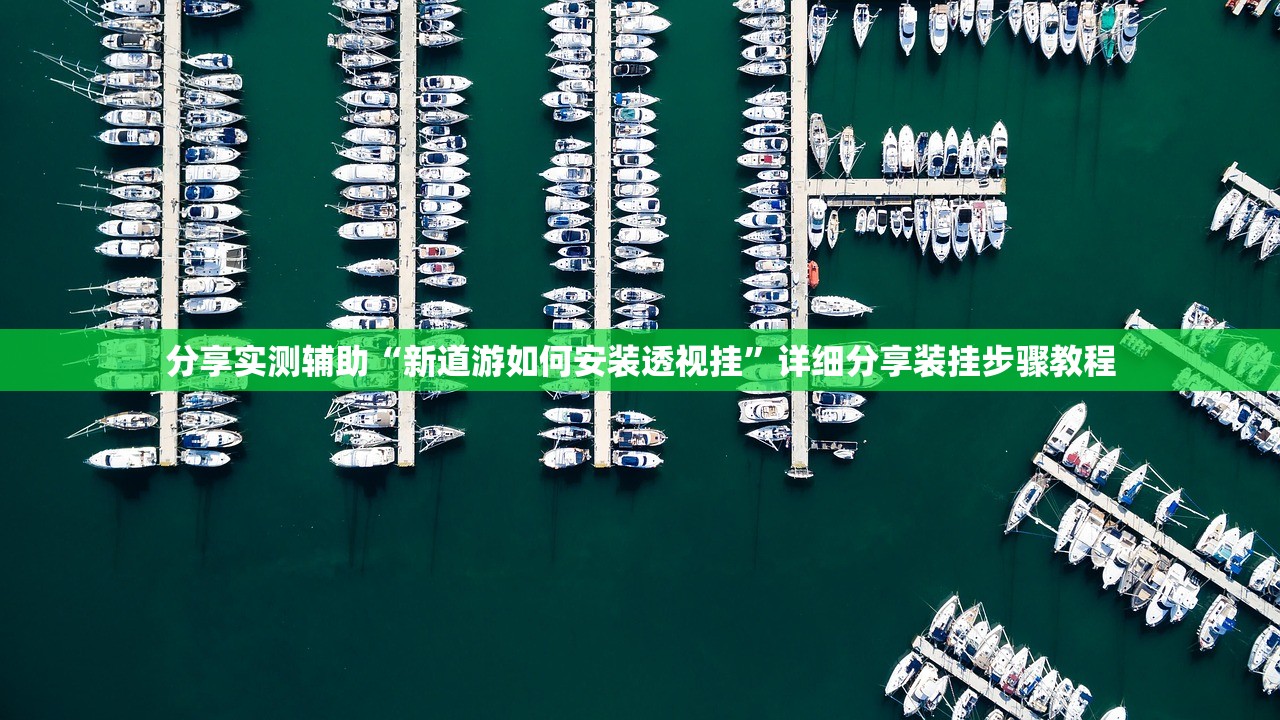 分享实测辅助“新道游如何安装透视挂”详细分享装挂步骤教程