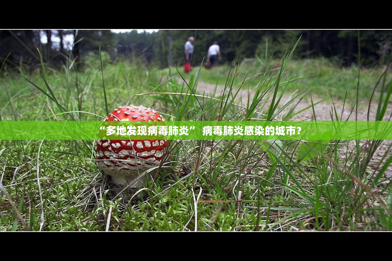 “多地发现病毒肺炎	” 病毒肺炎感染的城市？