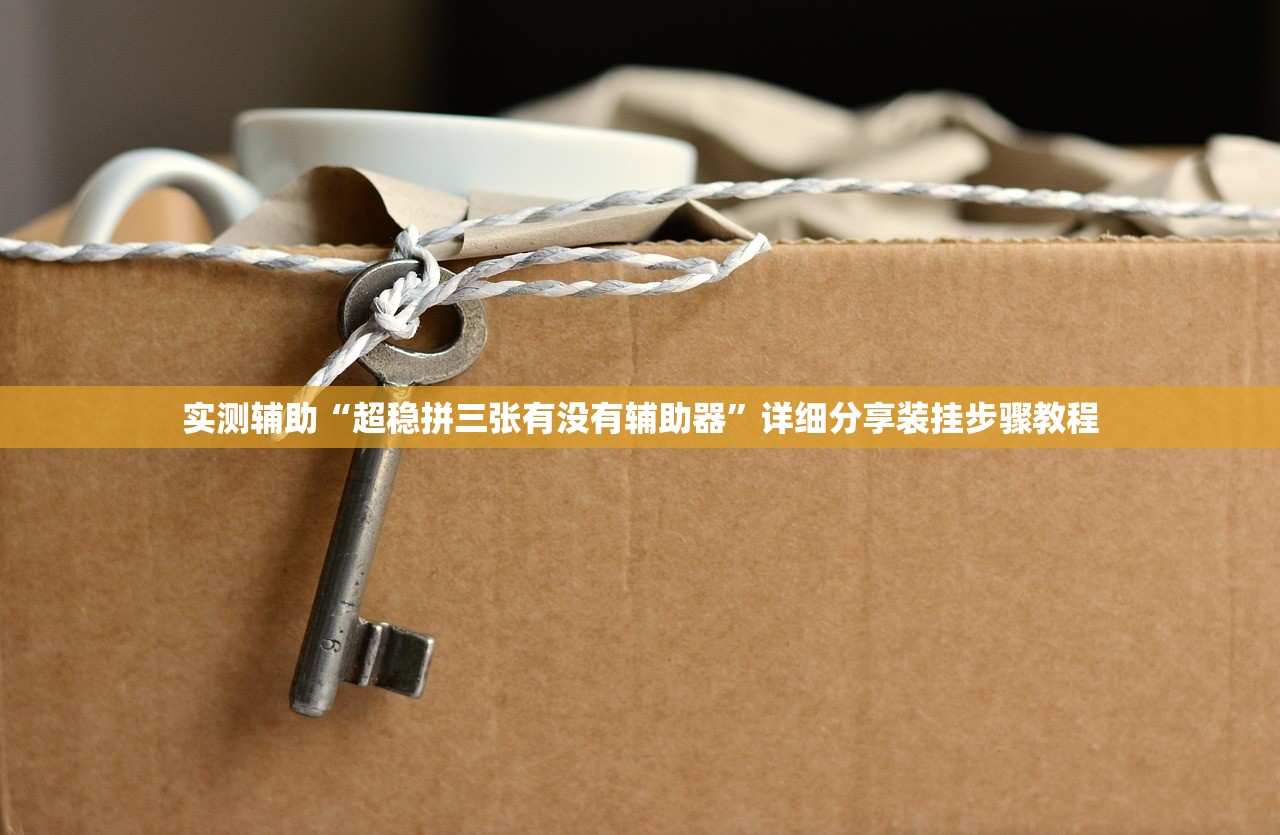 实测辅助“超稳拼三张有没有辅助器	”详细分享装挂步骤教程