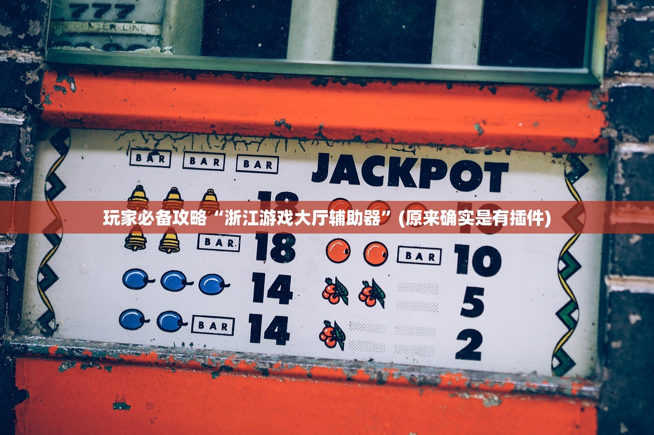 玩家必备攻略“浙江游戏大厅辅助器	”(原来确实是有插件)