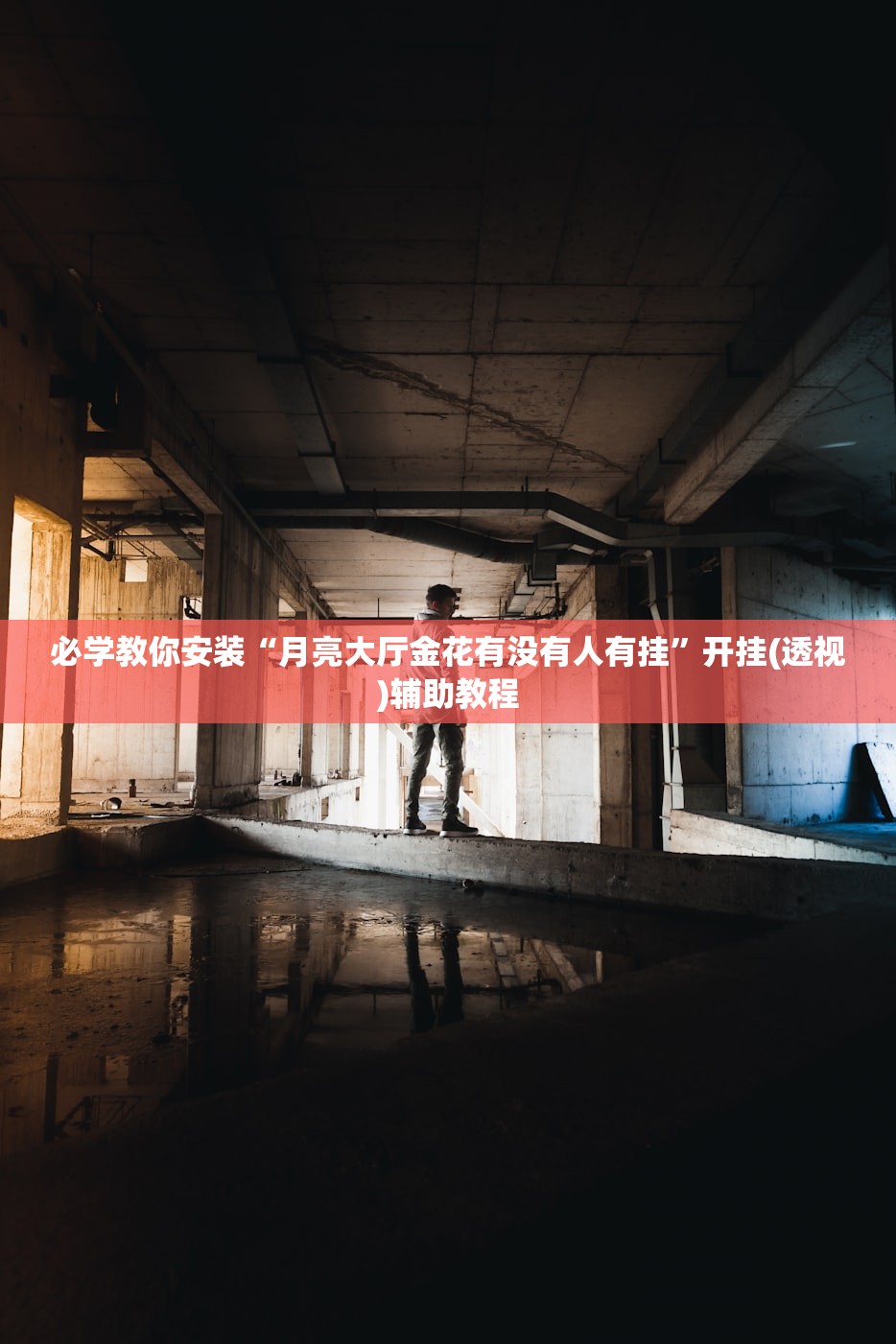 必学教你安装“月亮大厅金花有没有人有挂”开挂(透视)辅助教程