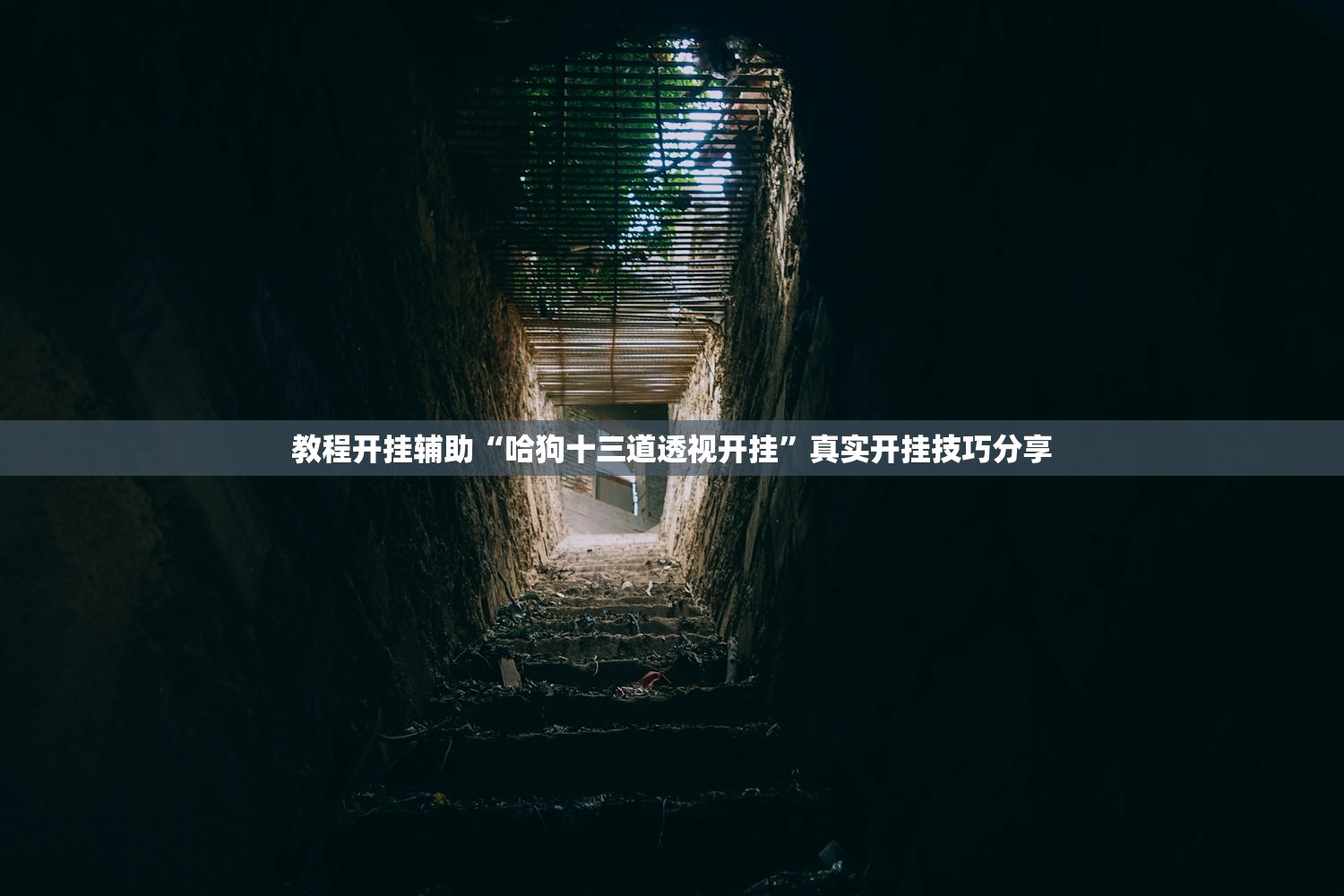 教程开挂辅助“哈狗十三道透视开挂”真实开挂技巧分享