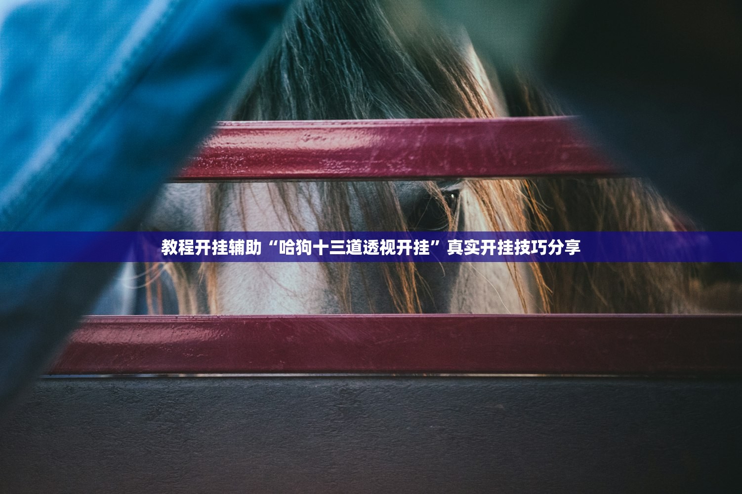 教程开挂辅助“哈狗十三道透视开挂	”真实开挂技巧分享