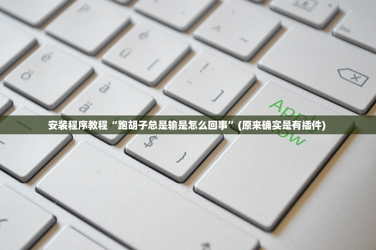 安装程序教程“跑胡子总是输是怎么回事”(原来确实是有插件) 