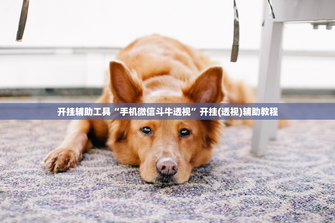 开挂辅助工具“手机微信斗牛透视”开挂(透视)辅助教程