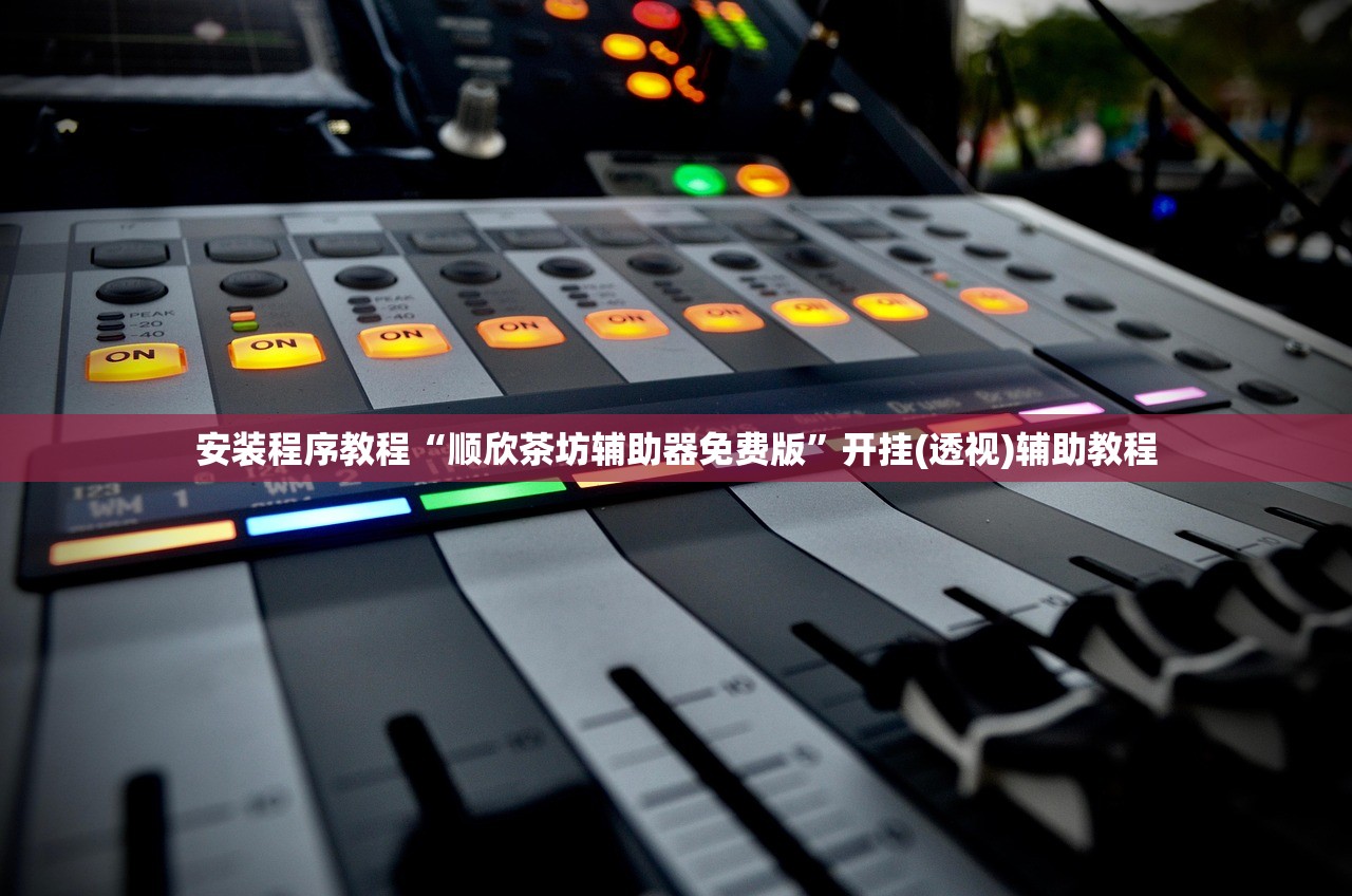 安装程序教程“顺欣茶坊辅助器免费版”开挂(透视)辅助教程