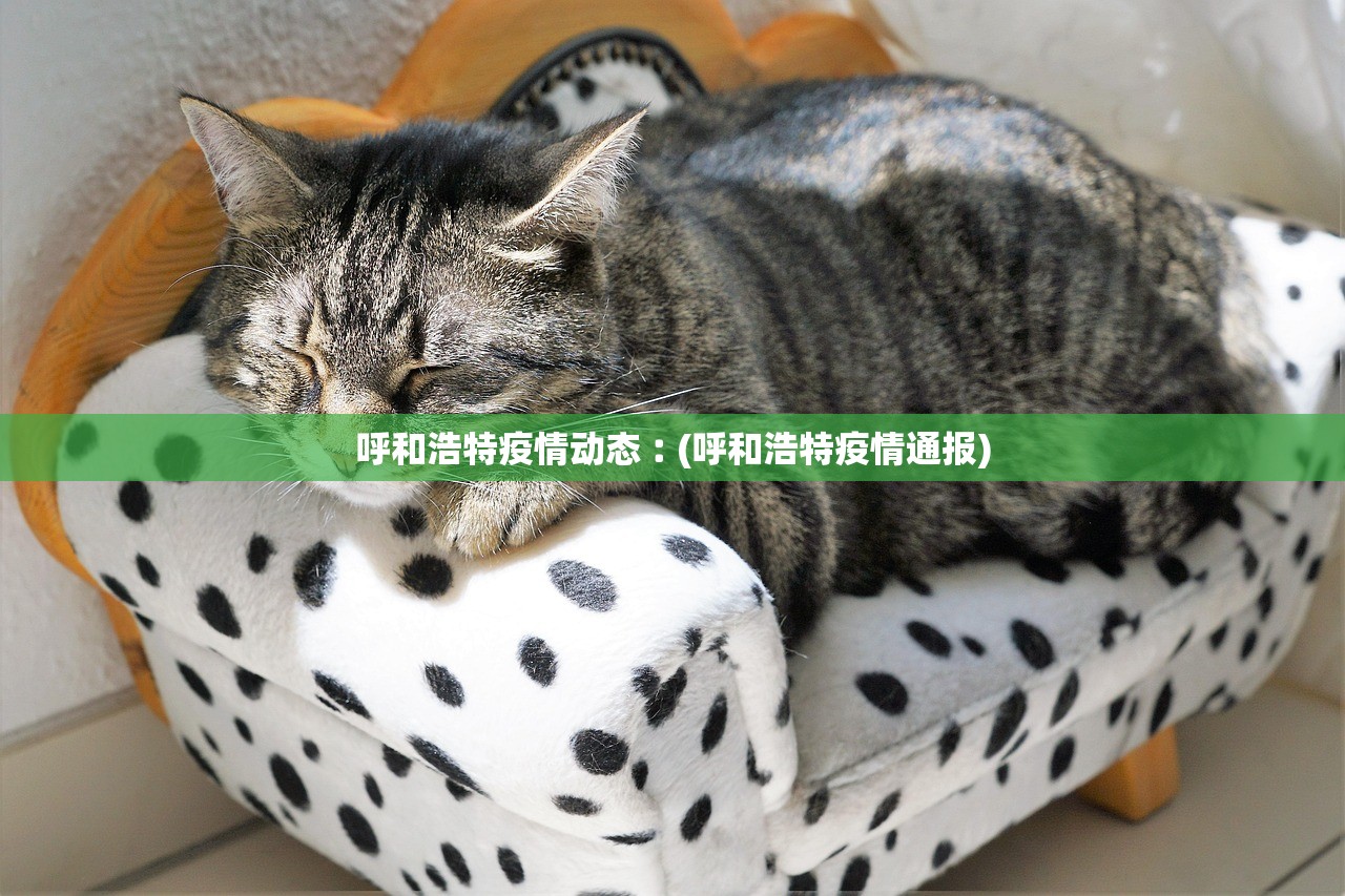 呼和浩特疫情动态︰(呼和浩特疫情通报) 呼和浩特疫情动态︰(呼和浩特疫情通报)