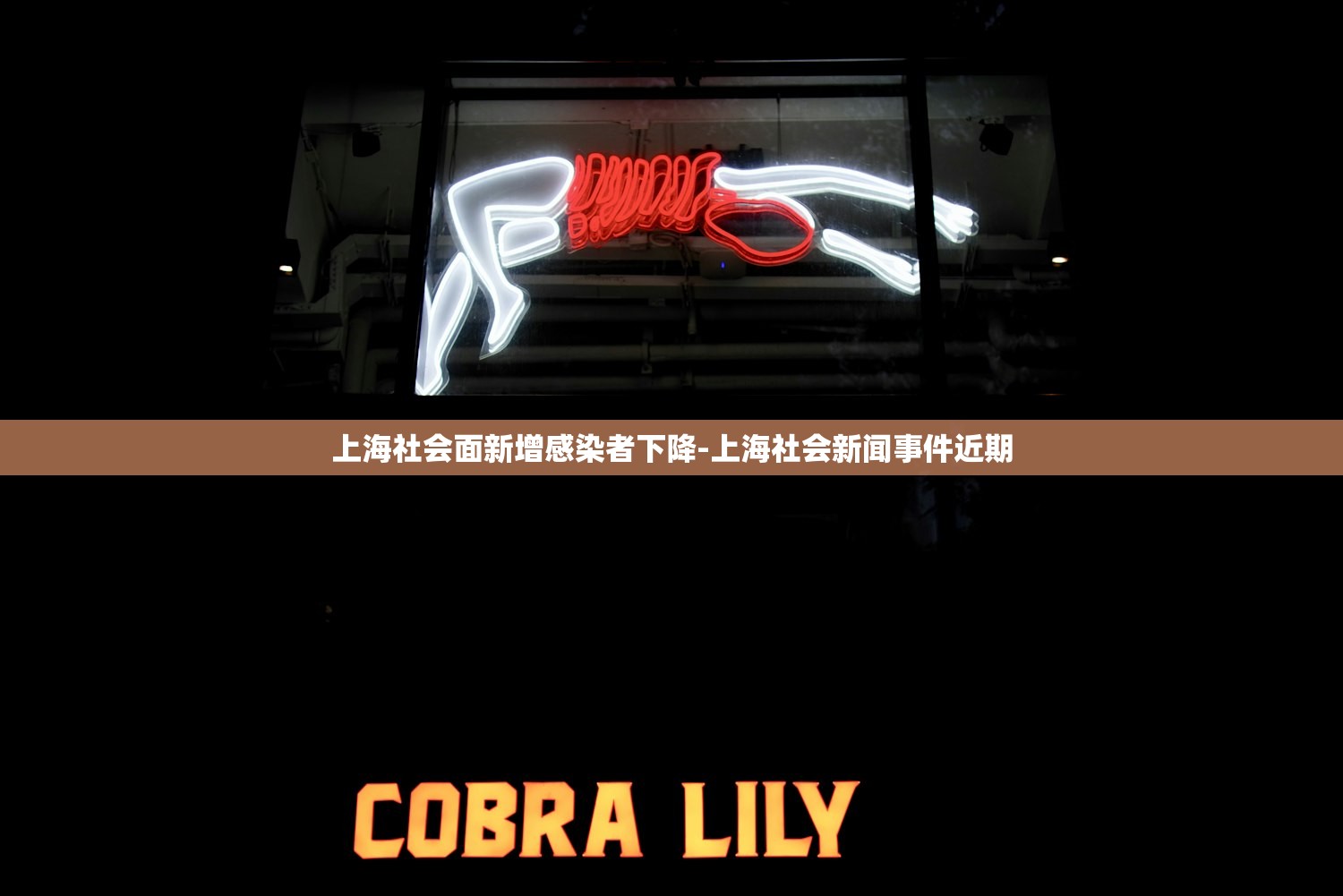 上海社会面新增感染者下降-上海社会新闻事件近期