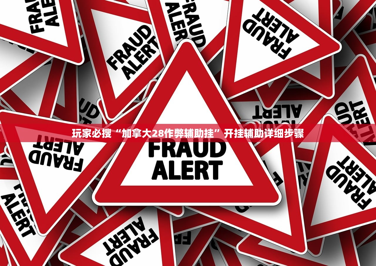 玩家必搜“加拿大28作弊辅助挂”开挂辅助详细步骤